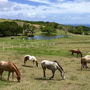  Hébergement de vacances La Ferme Des Etangs Martinique